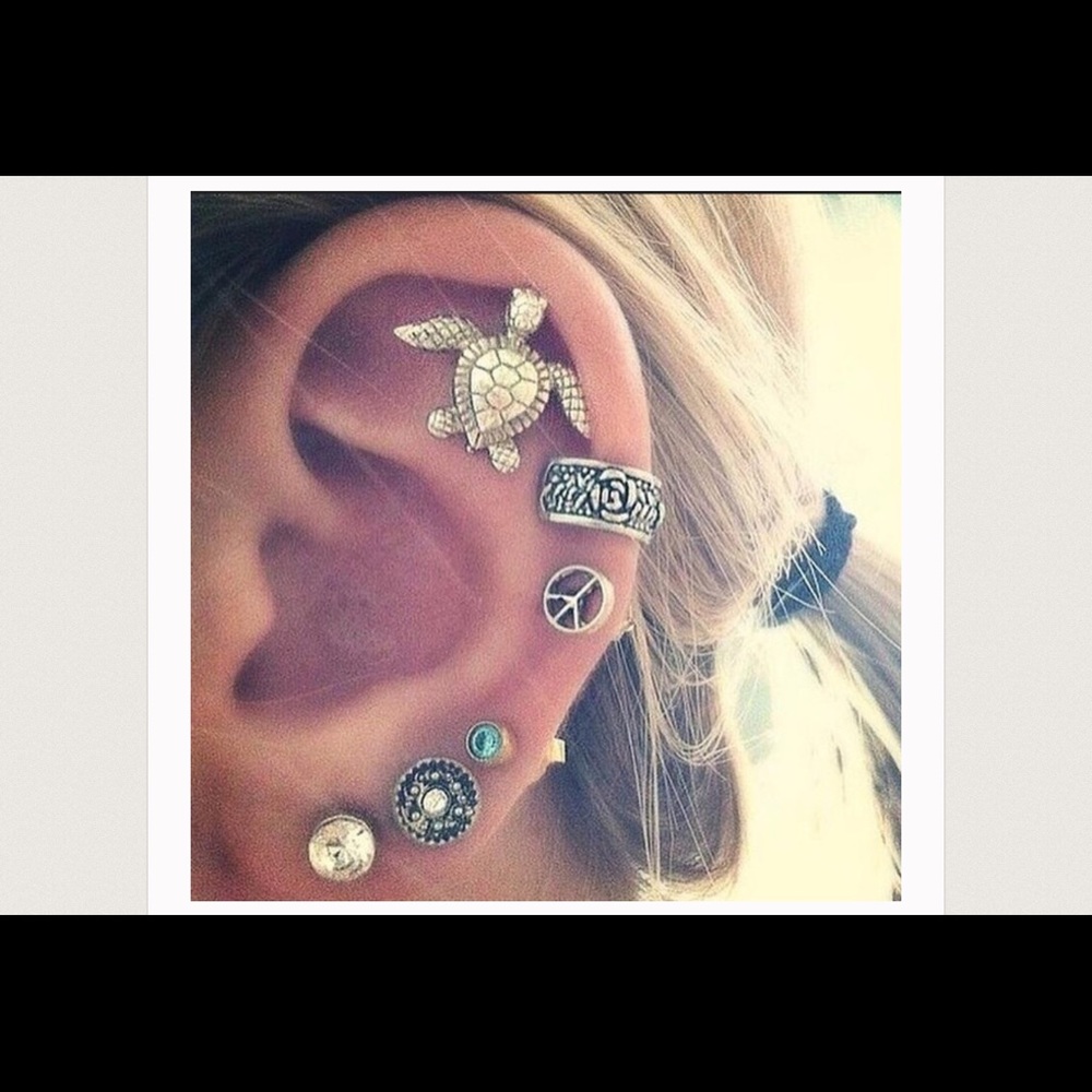Turtle Earring Set - Picture 1 of 5